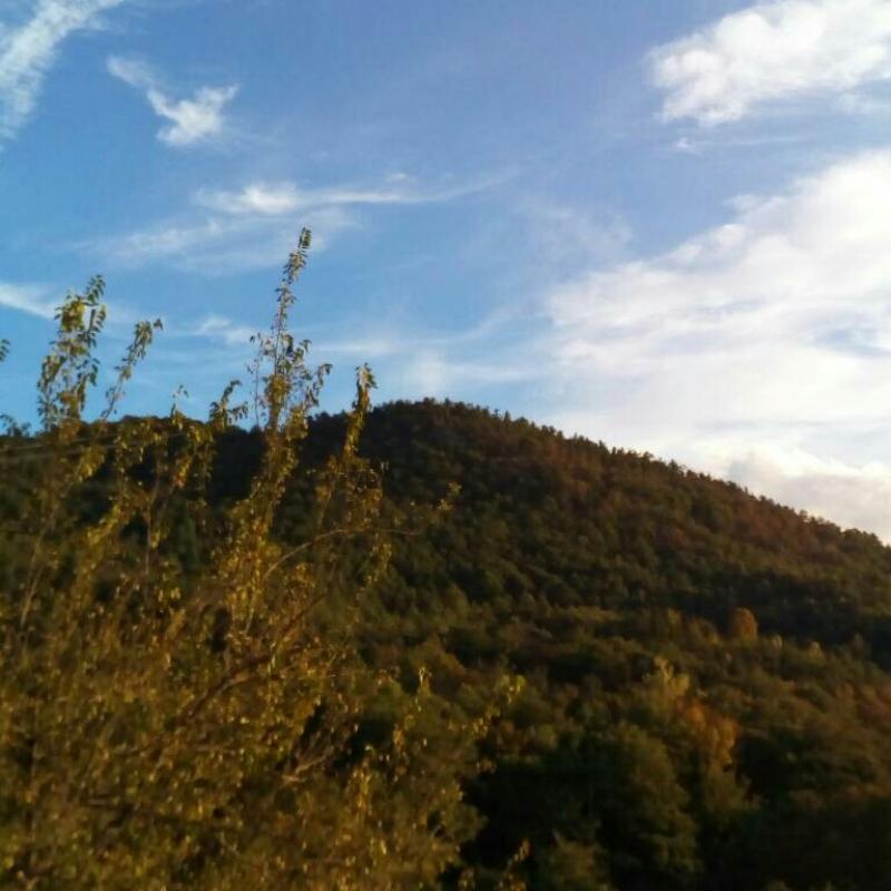 Fotosegnalazione di Sassello