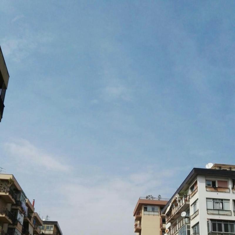 Fotosegnalazione di Palermo