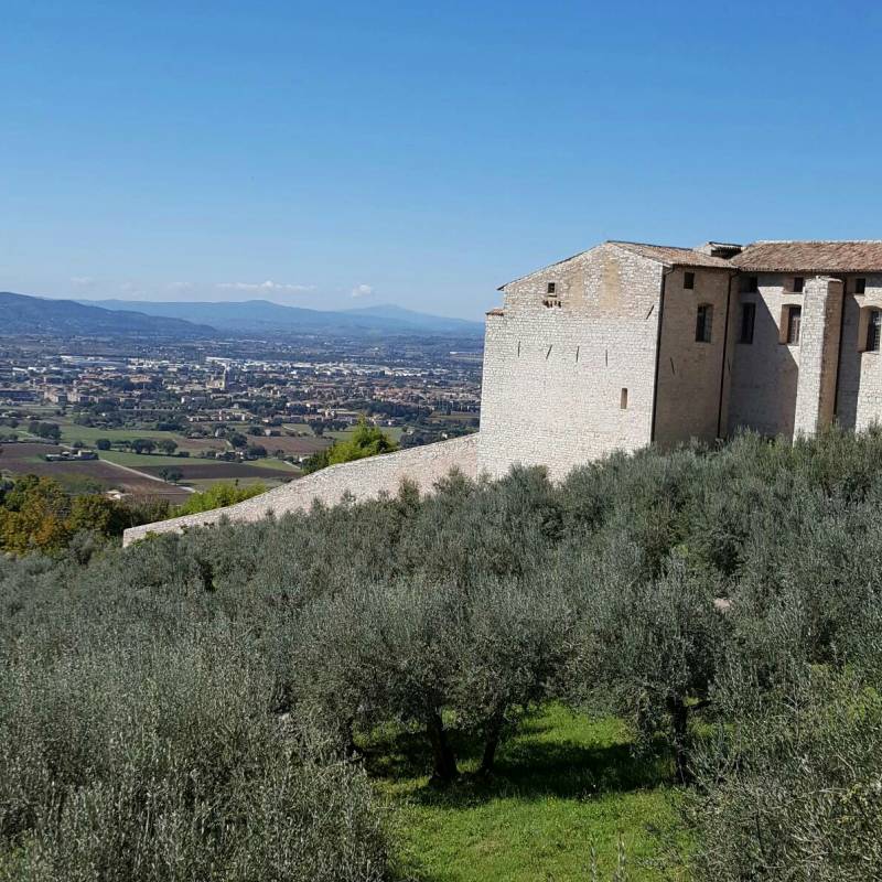 Fotosegnalazione di Assisi