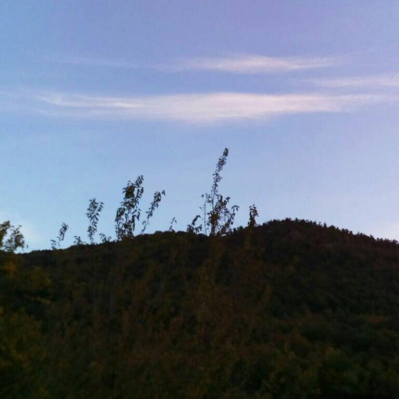 Fotosegnalazione di Sassello