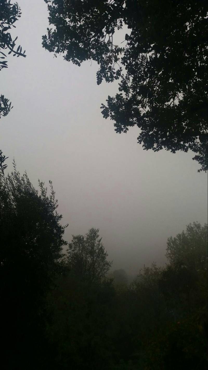 Nebbia in via Gazzolo