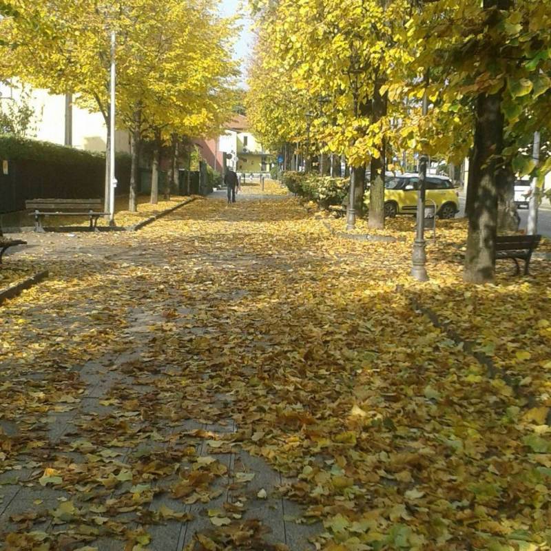 autunno