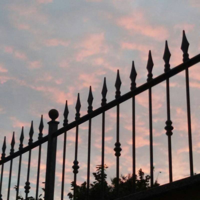 Fotosegnalazione di Bovisio masciago