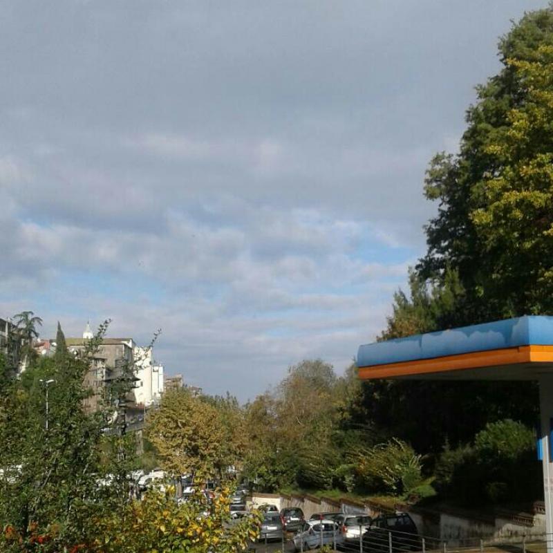 Fotosegnalazione di Zagarolo