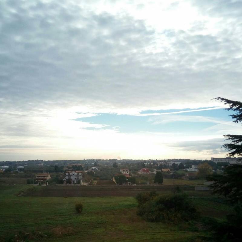 Fotosegnalazione di Corato