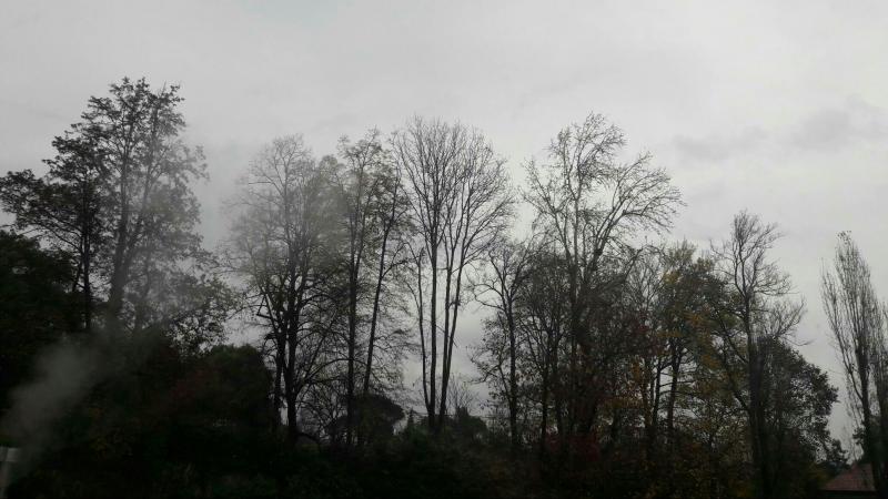 cielo grigio debolmente piovoso