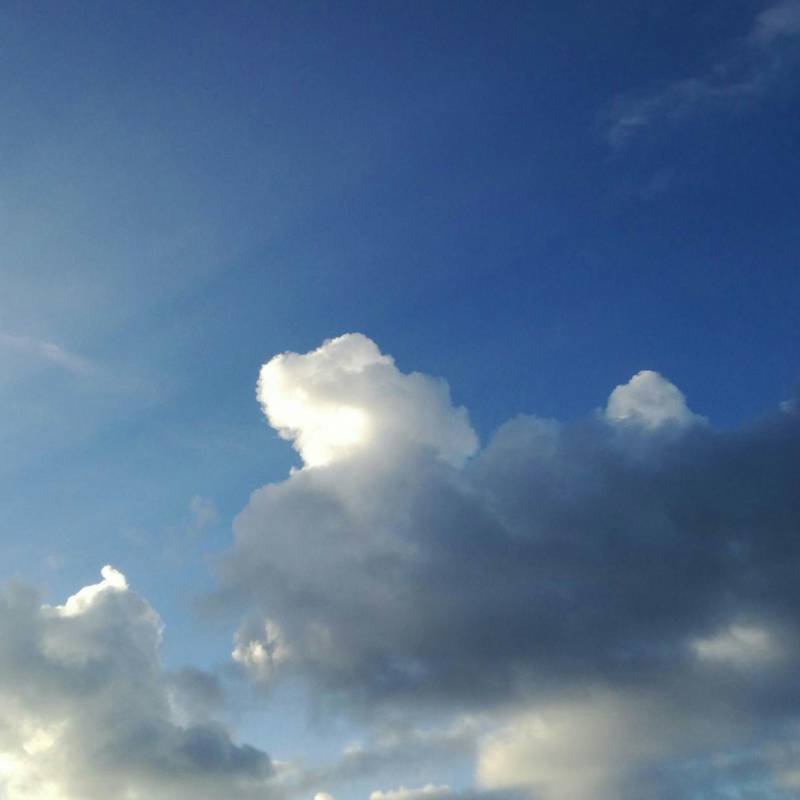 Fotosegnalazione di Amantea