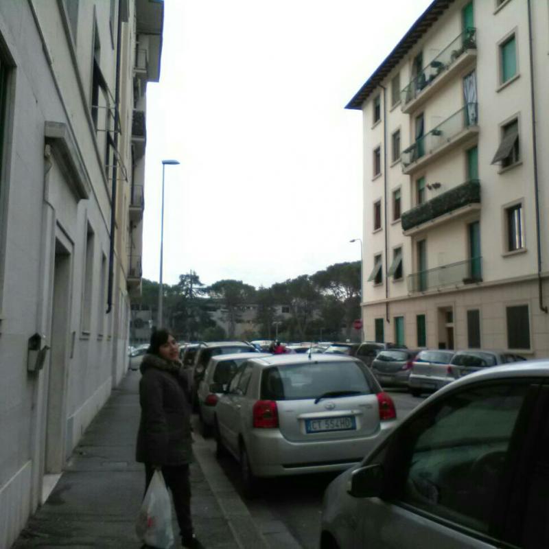 Fotosegnalazione di Fiesole