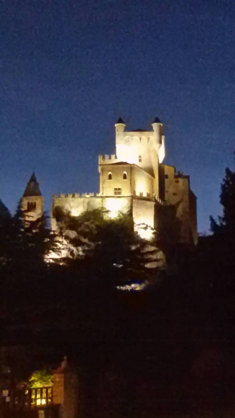 Castello in notturna