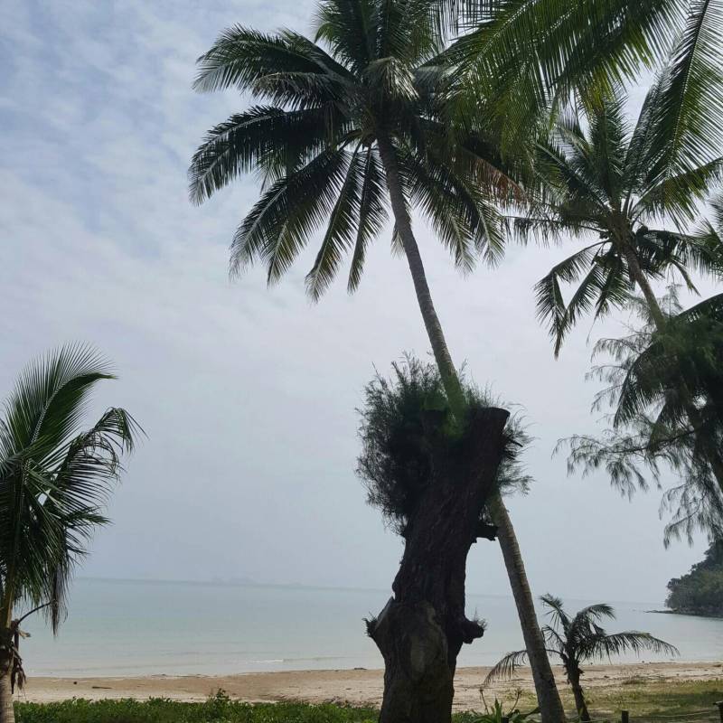 Fotosegnalazione di Chumphon