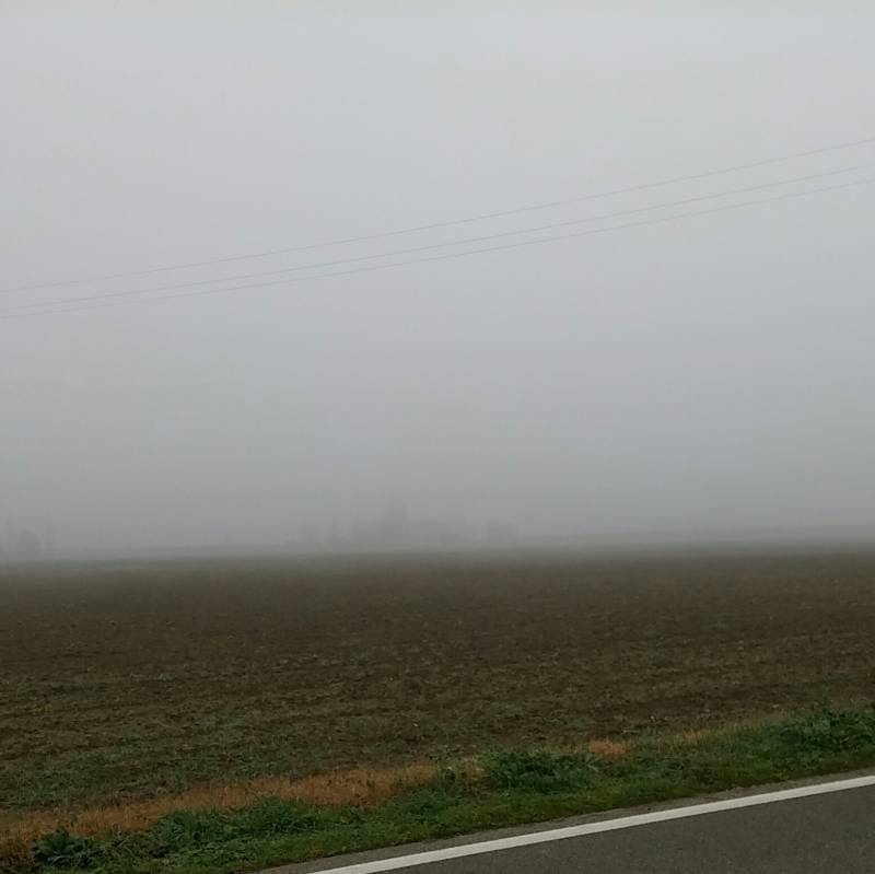 nebbia 
