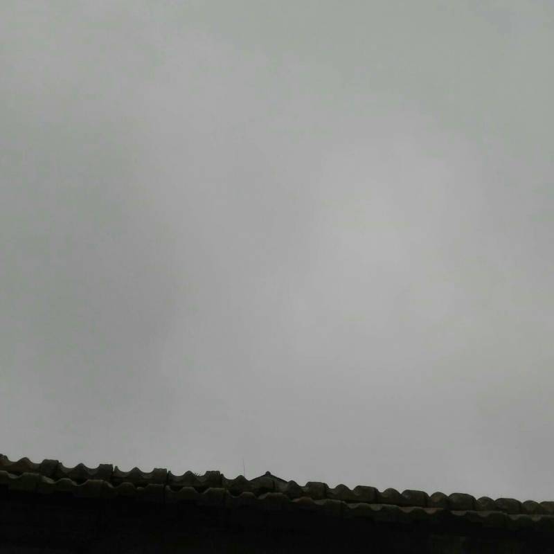 Fotosegnalazione di Tolentino