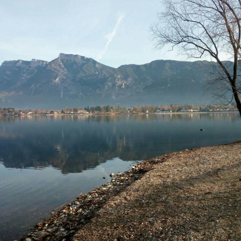 Fotosegnalazione di Calceranica al lago