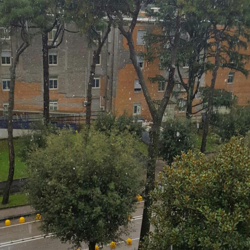 Fotosegnalazione di Napoli vomero