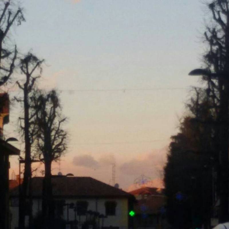 Fotosegnalazione di Bovisio masciago