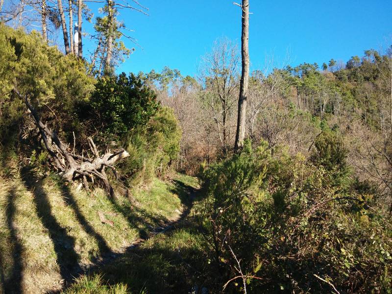 Alta via delle 5 terre pista mtb