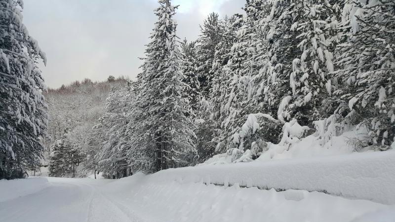 Carlomagno 50 cm neve by Gianluca Congi