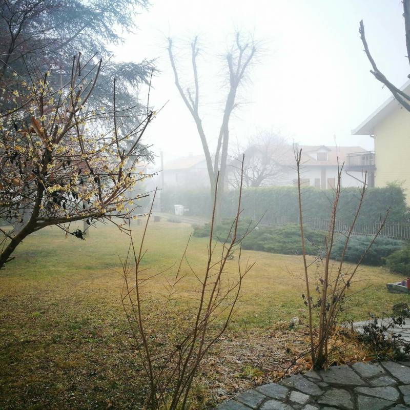 Fotosegnalazione di Rivalta di torino