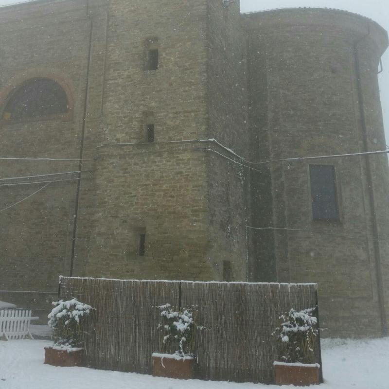 Fotosegnalazione di Cavatore