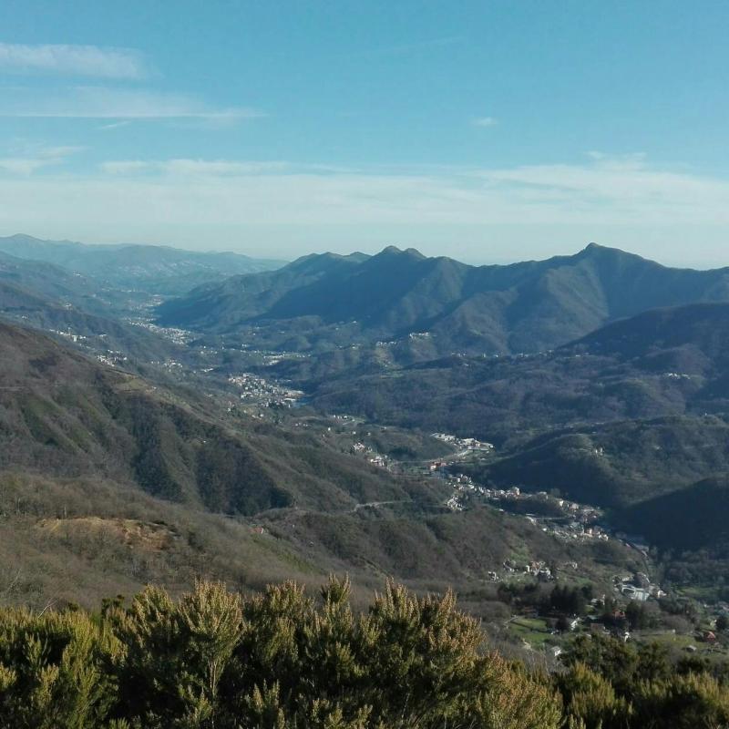 Monte Cavello