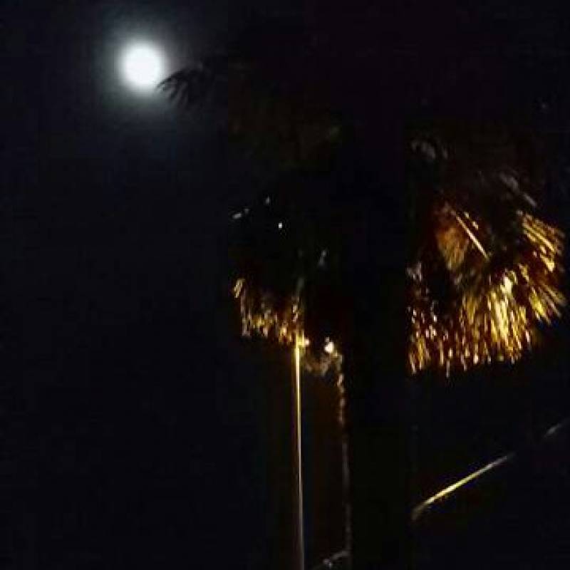 real palma by night 