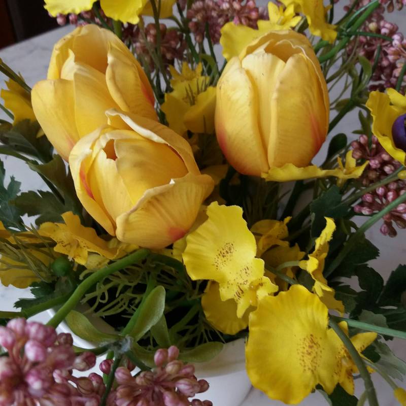 aria di primavera nella mia casa