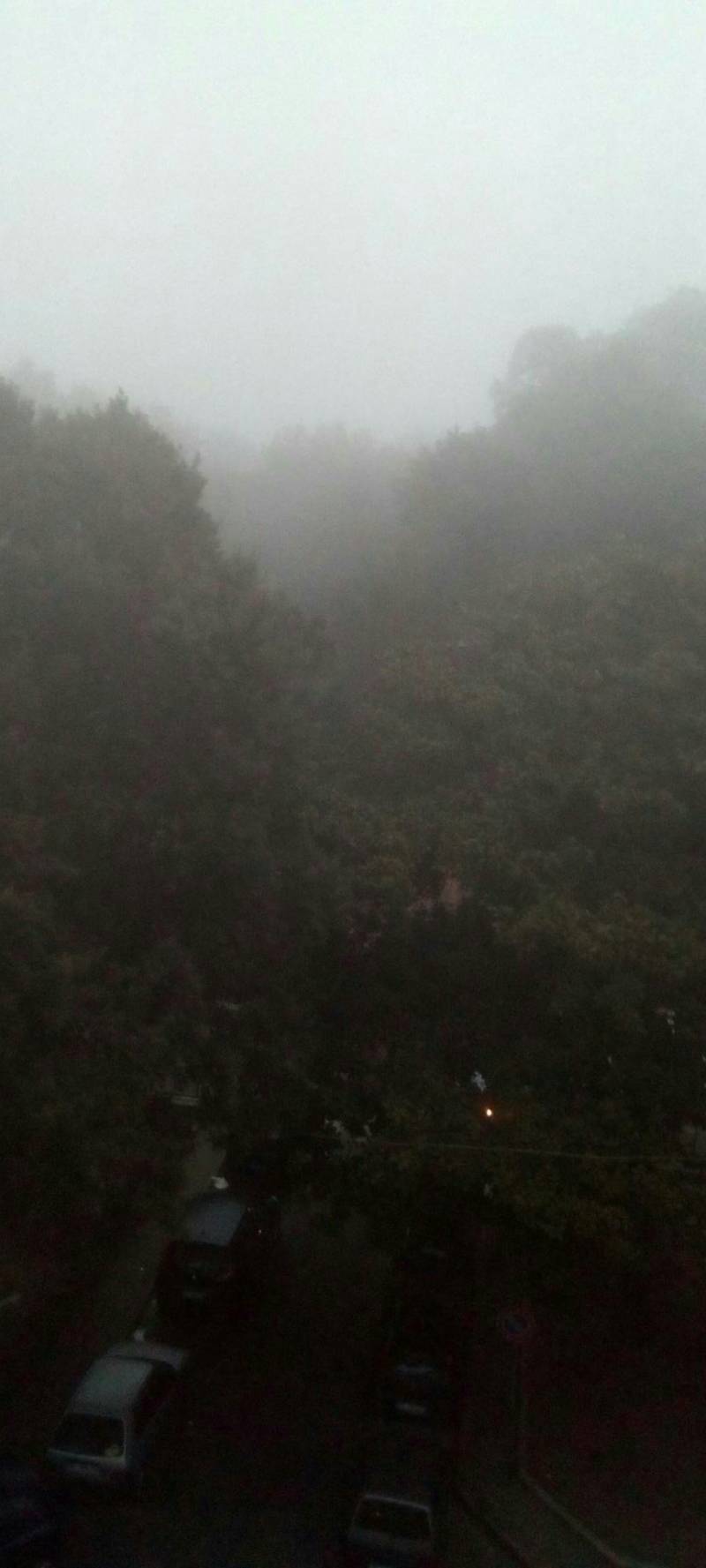 Nebbia a Capodimonte