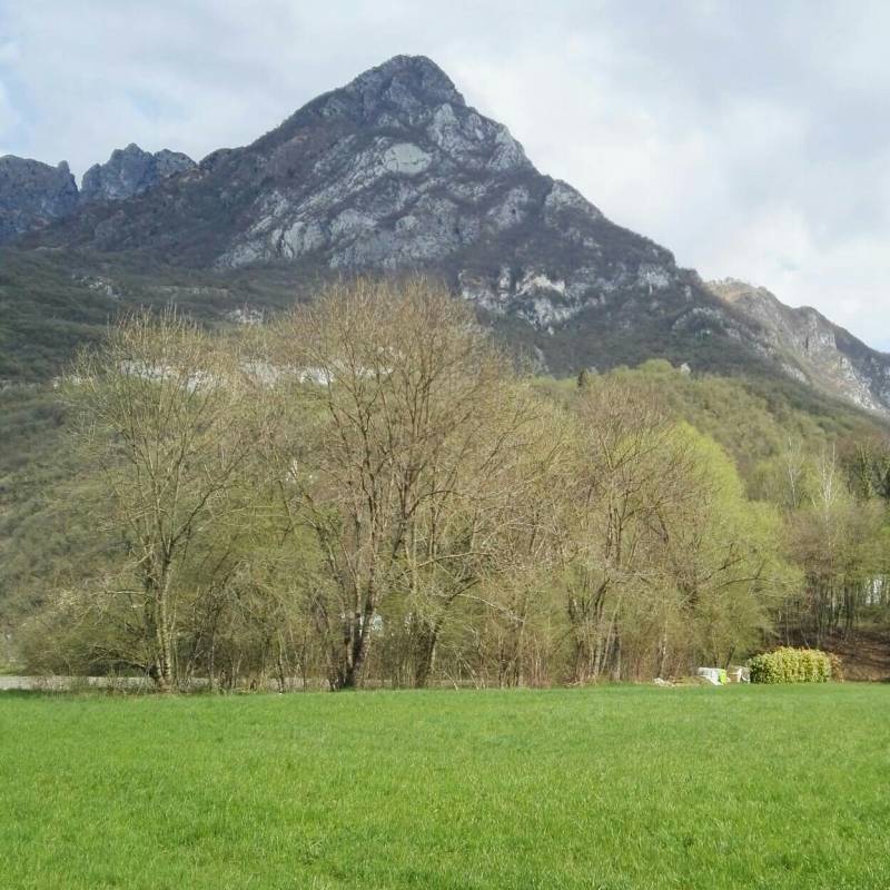 Fotosegnalazione di Sospirolo