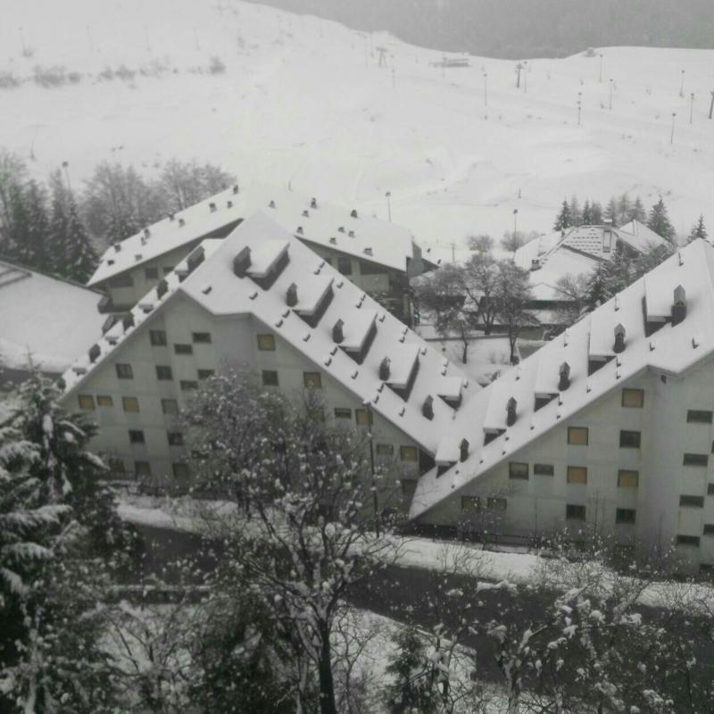 Fotosegnalazione di Prato nevoso