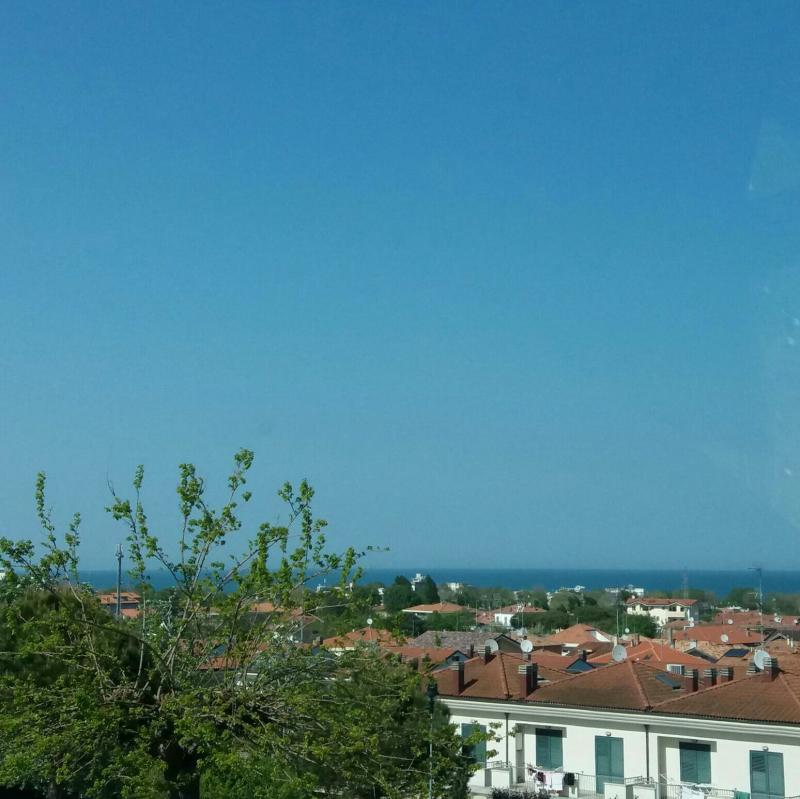 Fotosegnalazione di Misano adriatico