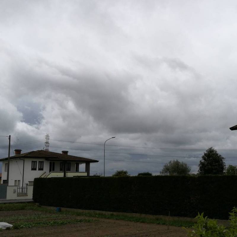 Fotosegnalazione di Campagna lupia