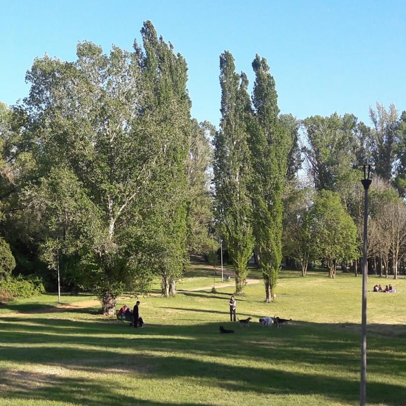 Parco del Risaro