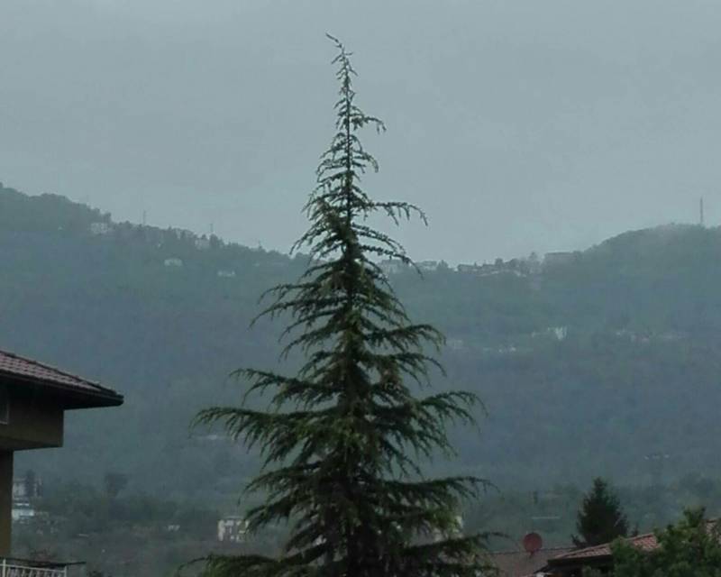Pioggia freddo vento sicuro che siano il 26 aprile 
