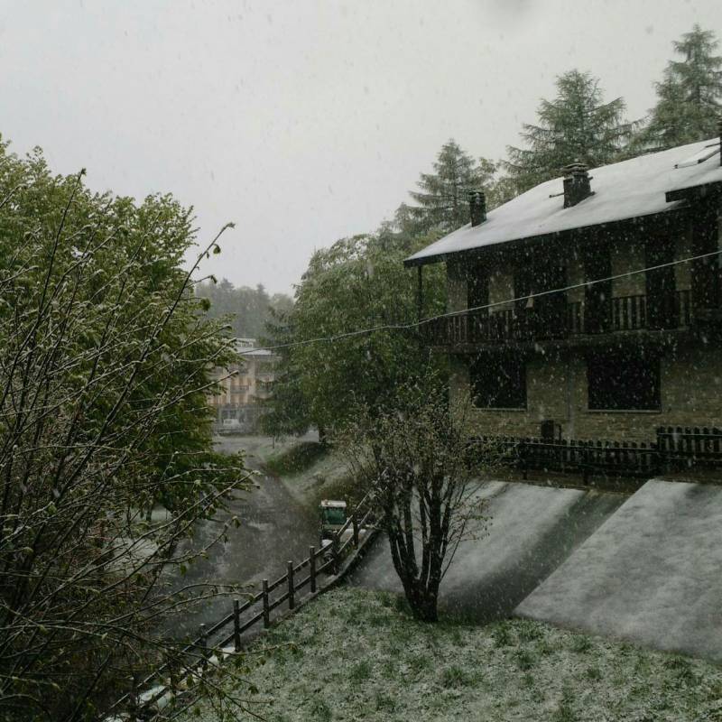 Spring snow in Montoso 
