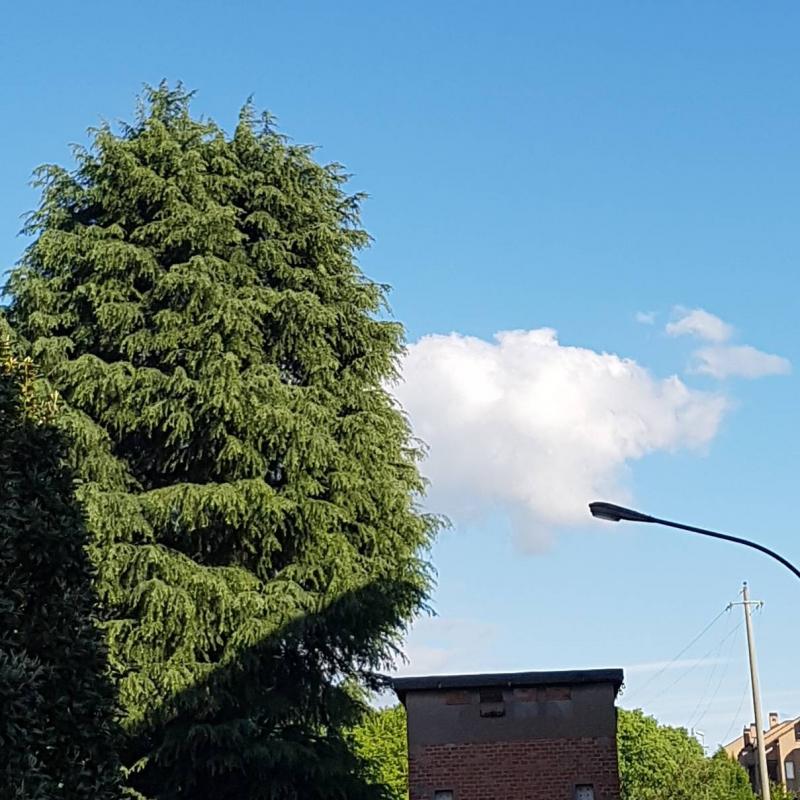 Fotosegnalazione di Casalecchio di reno
