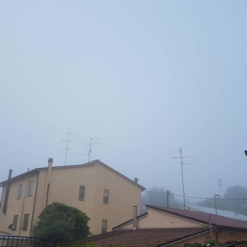 Fotosegnalazione di Bagnacavallo