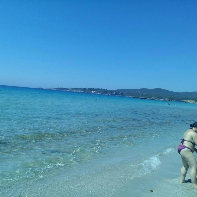 Fotosegnalazione di Alghero fertilia