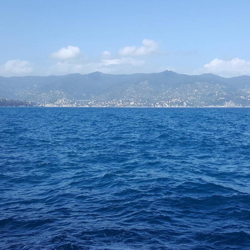 Fotosegnalazione di Portofino
