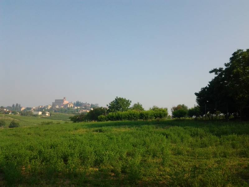 San Giorgio Monferrato