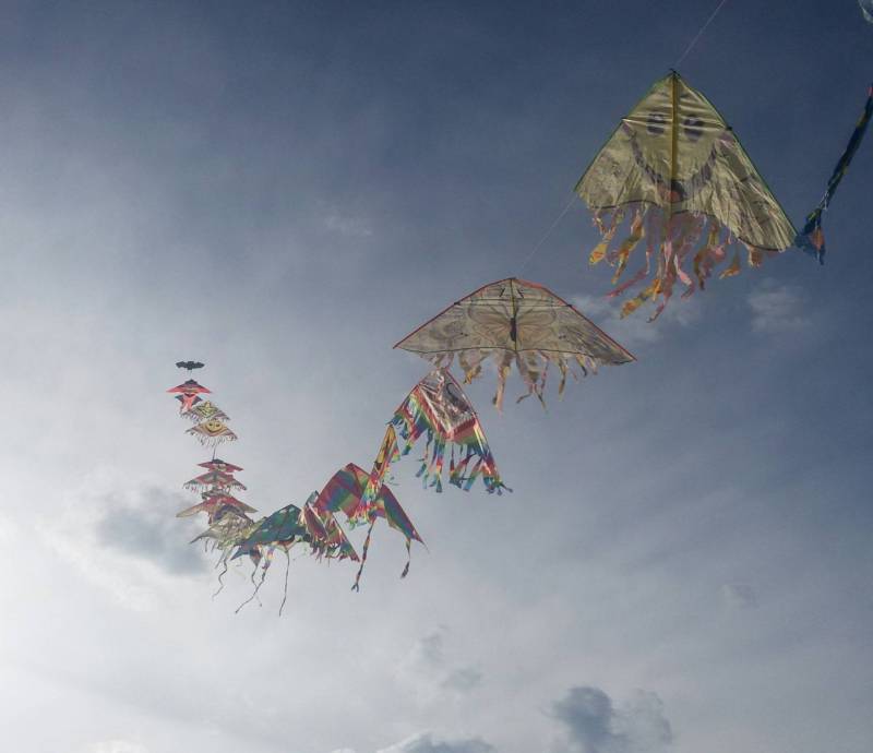 Gli aquiloni nel cielo blu
