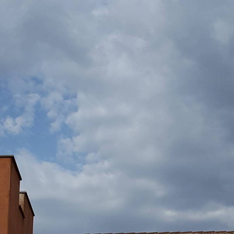 Fotosegnalazione di Golfo aranci