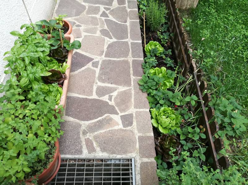 Orto giardino
