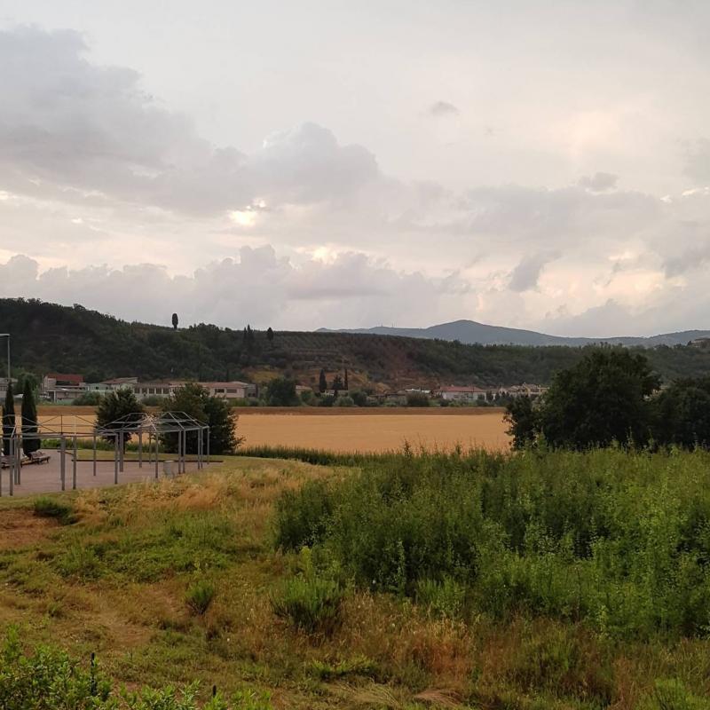 Fotosegnalazione di Capraia e limite