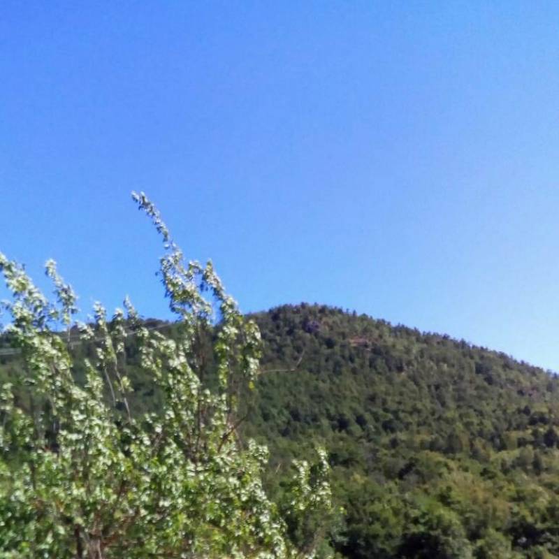 Fotosegnalazione di Sassello