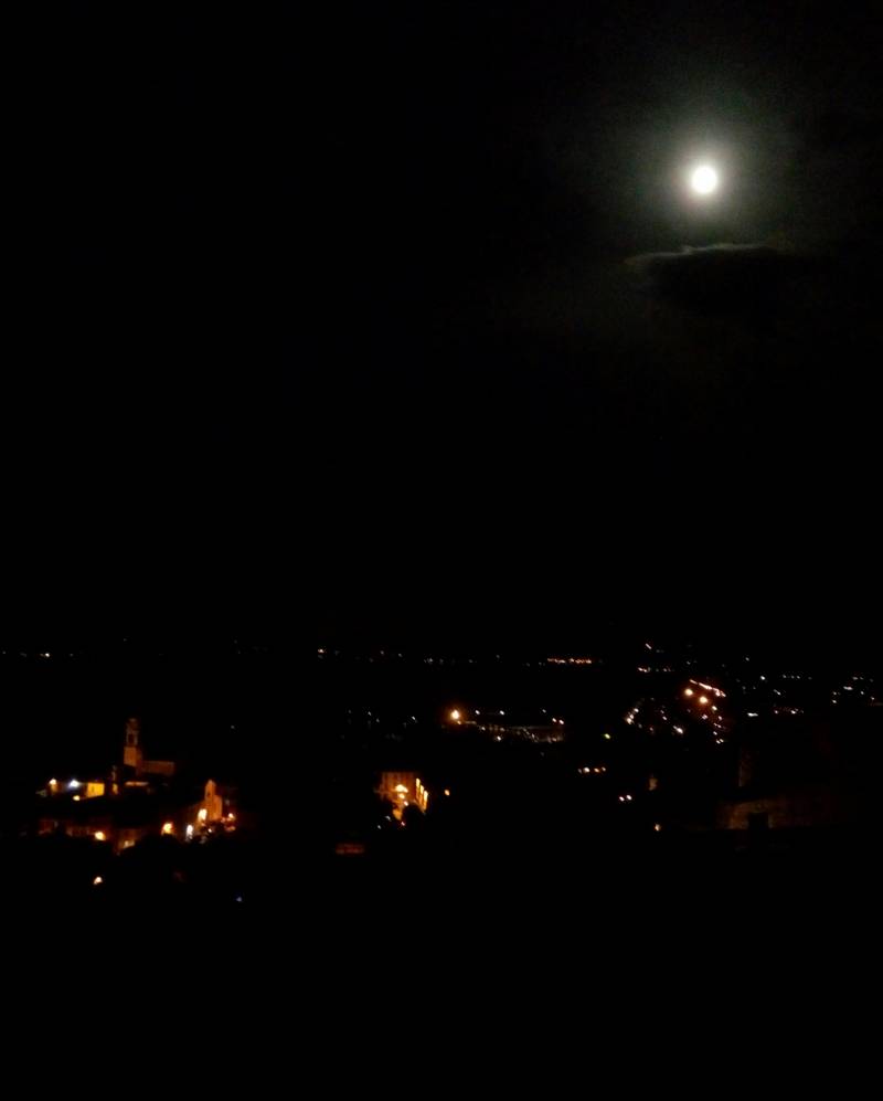 Dalla rocca di arona