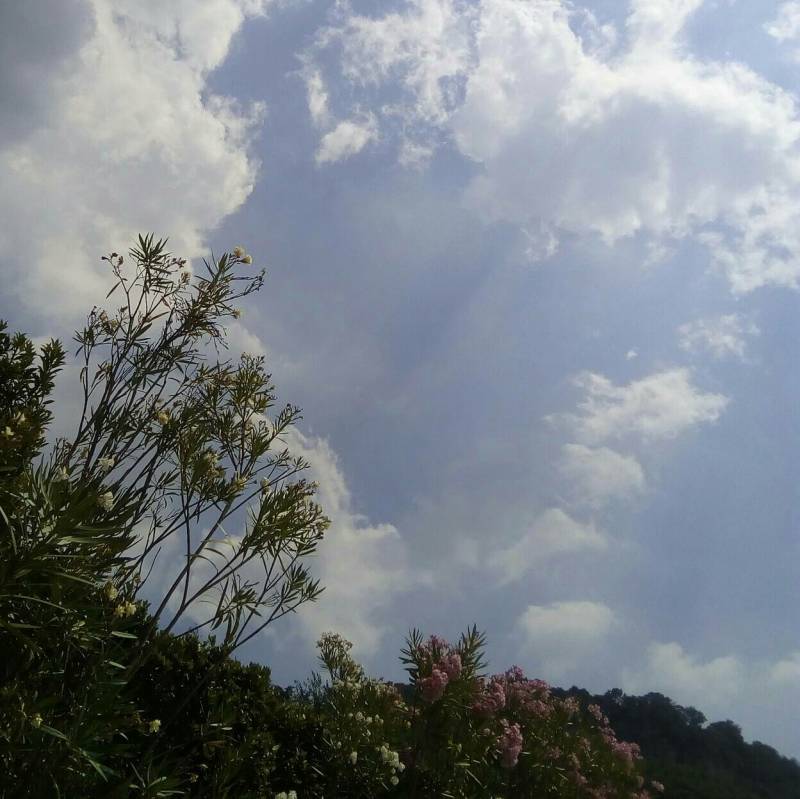 Fotosegnalazione di Garda