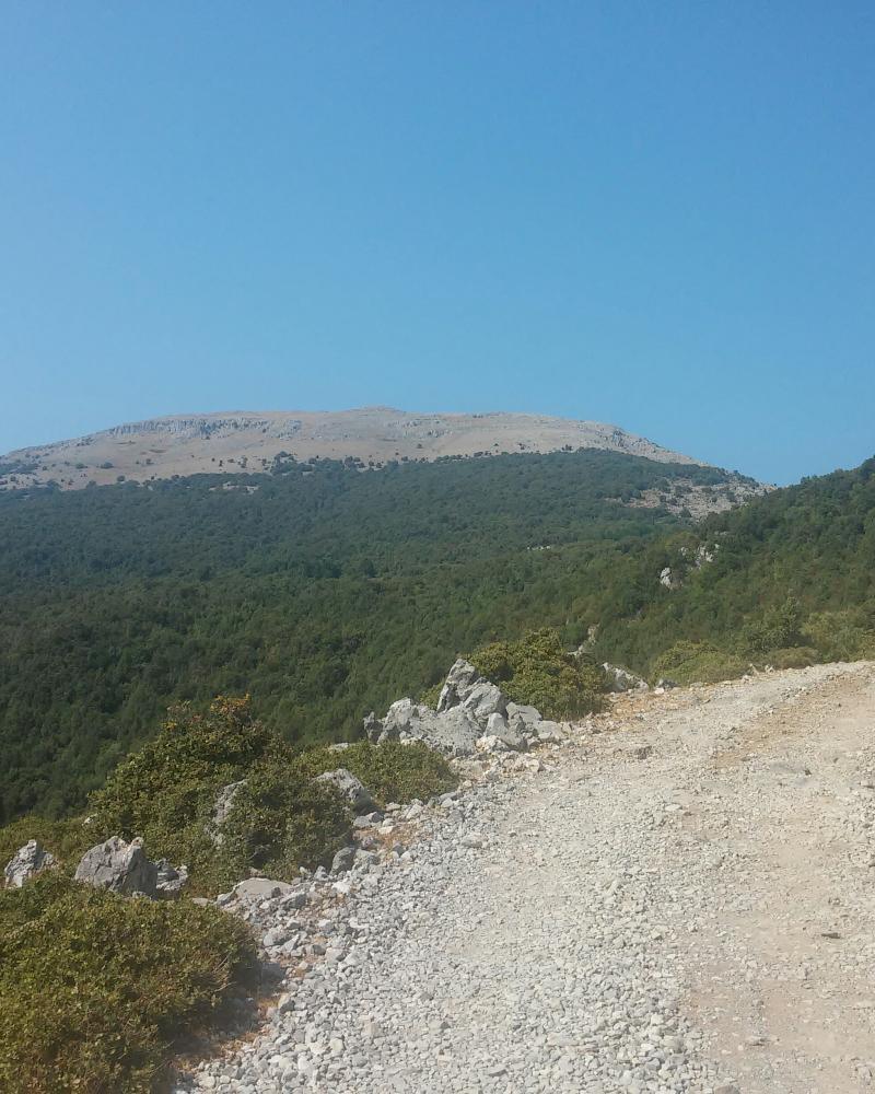 Monte bulgheria