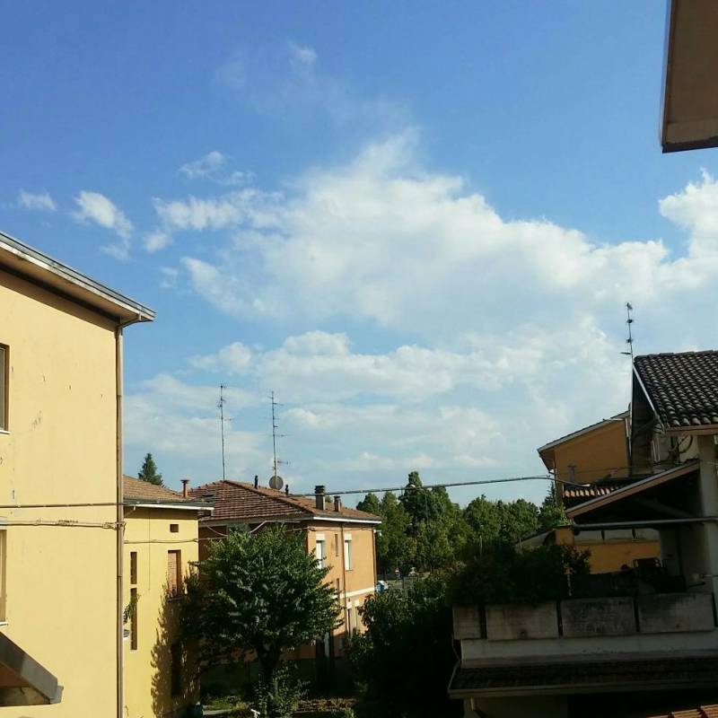 Fotosegnalazione di Rio saliceto
