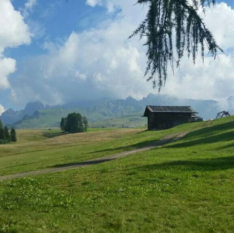 Fotosegnalazione di Alpe di siusi