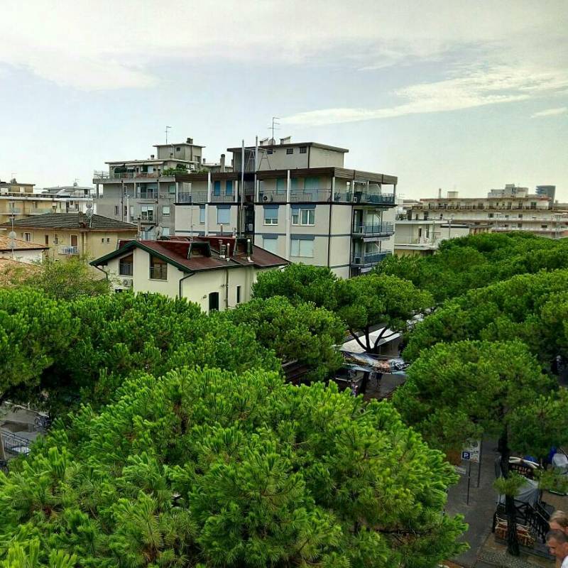 Fotosegnalazione di Lido di jesolo